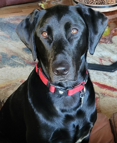 Entry image for Oakley. Clicking this image will show a larger photo