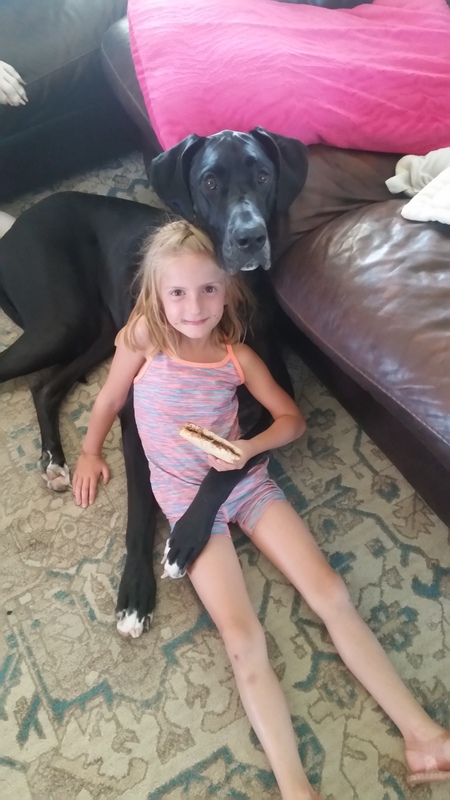 Entry image for Pitch. Clicking this image will show a larger photo