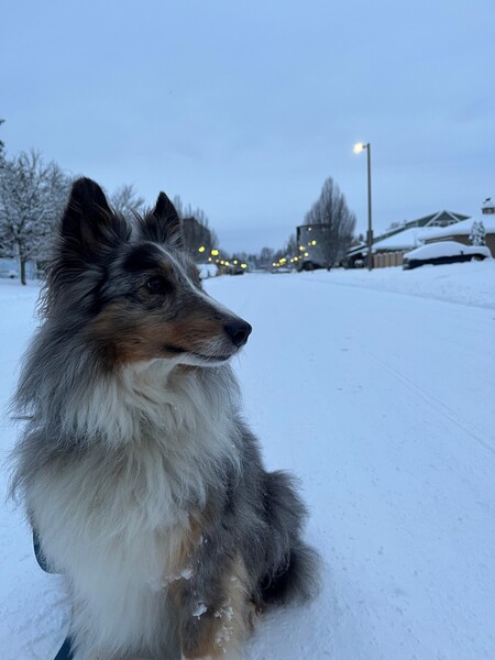 Entry image for Jake. Clicking this image will show a larger photo