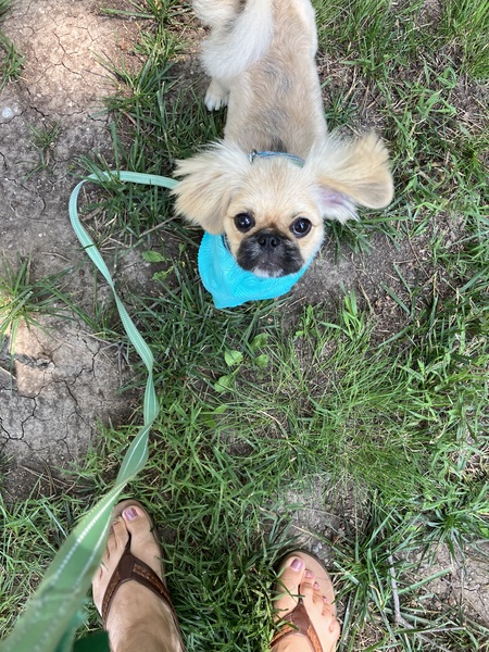 Stella Louise