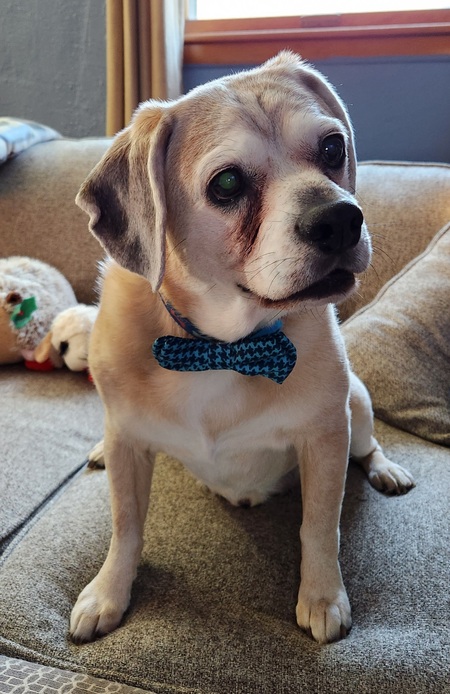 Milo