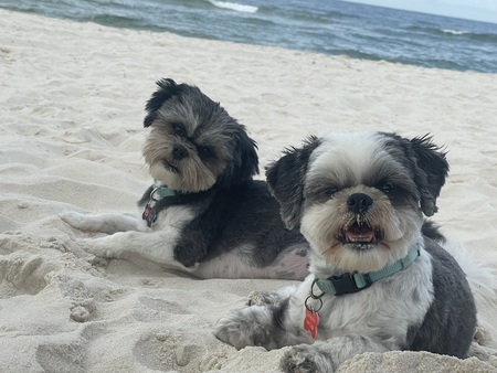 Grace Lynn and Cora Mae 