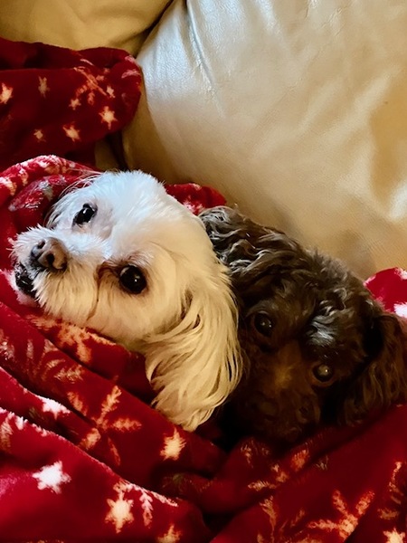 Joey & Charlie