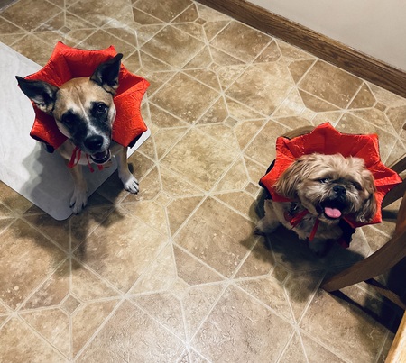 Lexi and Ferris