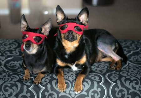 Tyson and Sparrow 