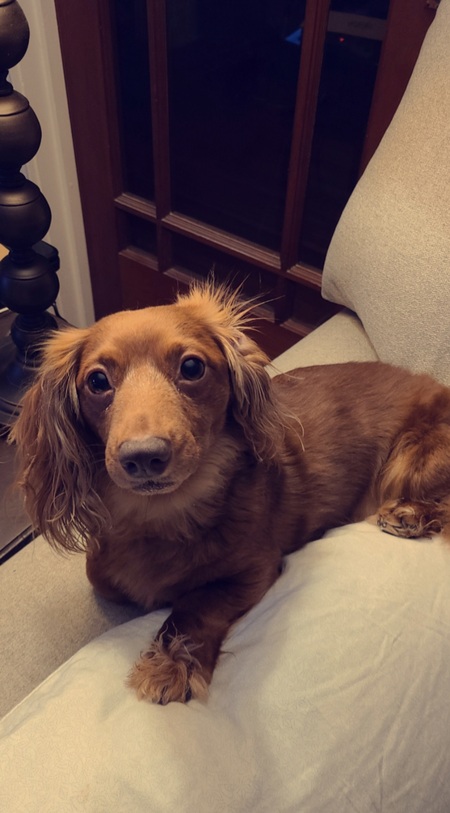 Lola