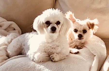 Camo & April