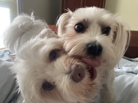 Maise and Zoey