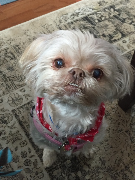 Zoey