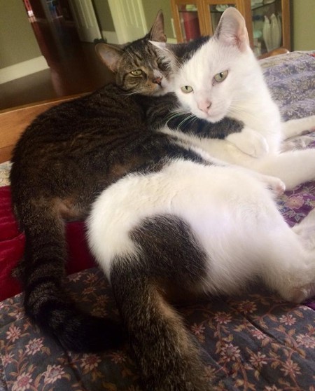 Morty and Gibby