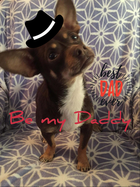 Entry image for BOSLEY. Clicking this image will show a larger photo