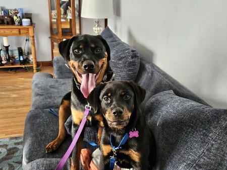 Ranger and Pixie