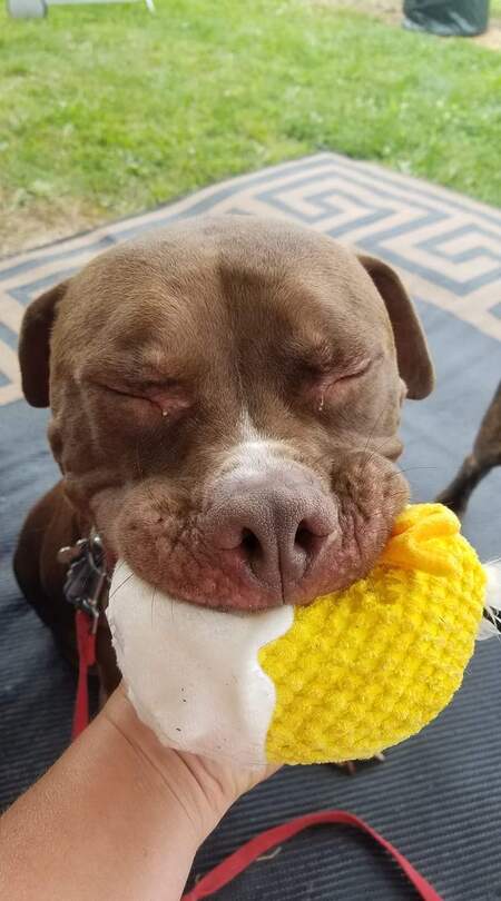 Georgie
