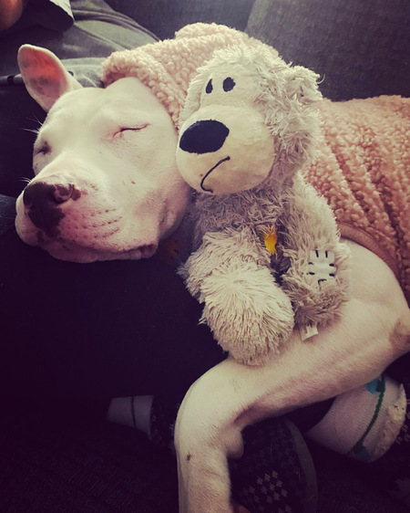 Sophie