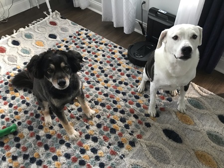 Max and Mollie
