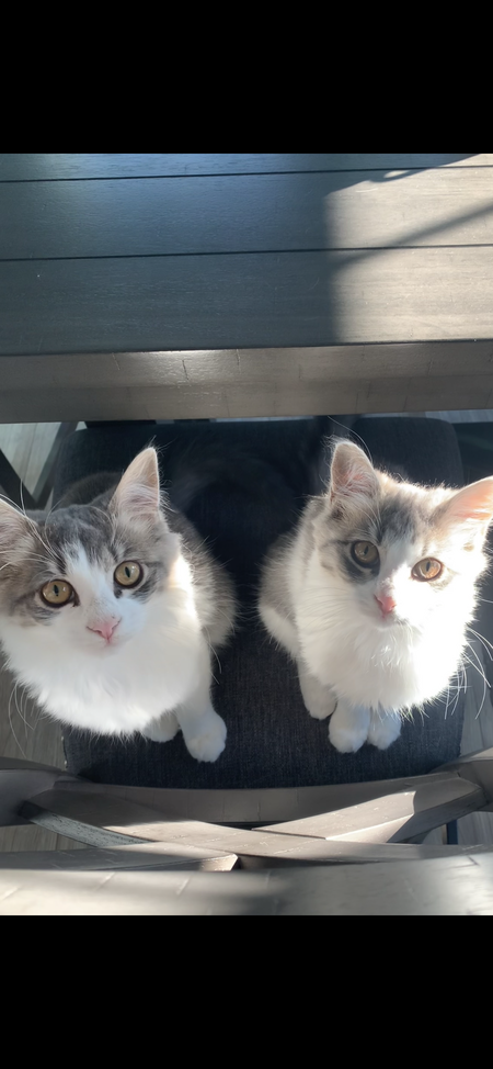 Dunkin & Bean 