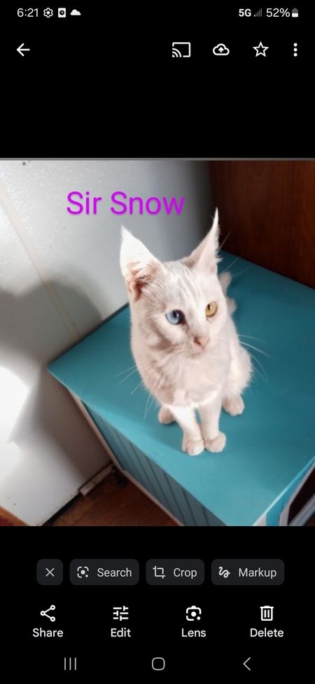 Sir Snow