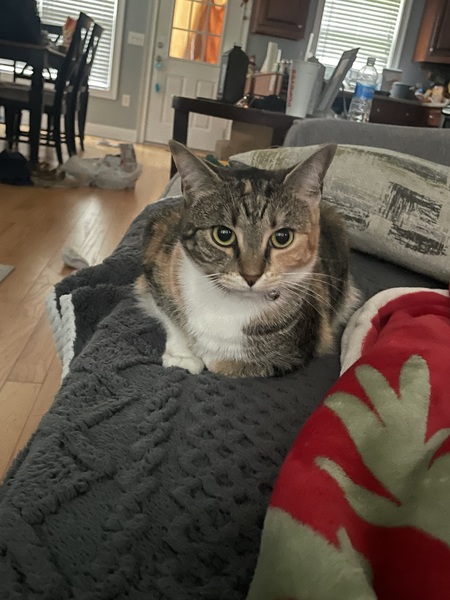 Minnie