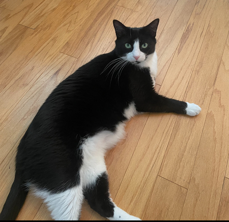 Milo