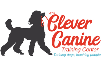 Clever Canine