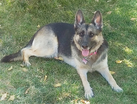Matilda