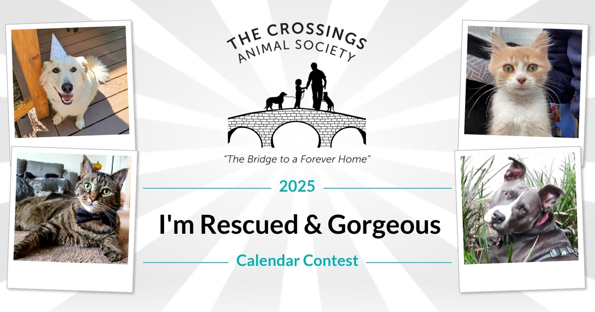 The Crossings Animal Society | 2025 