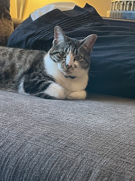 Rosie