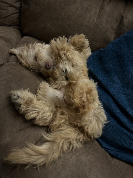 Skye