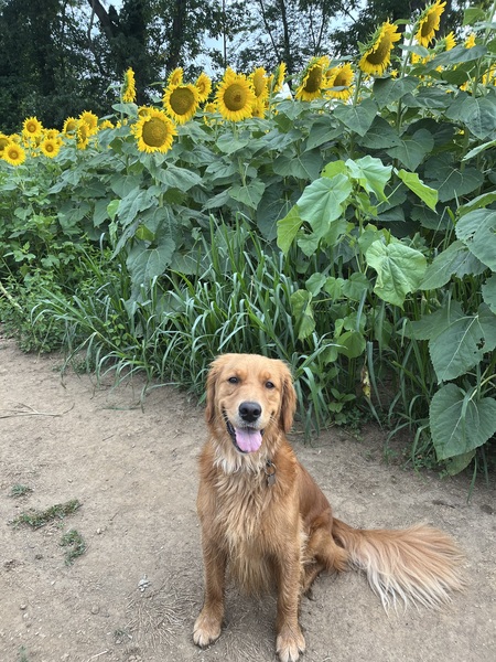 Annie