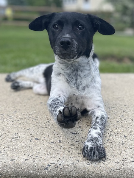 Luna