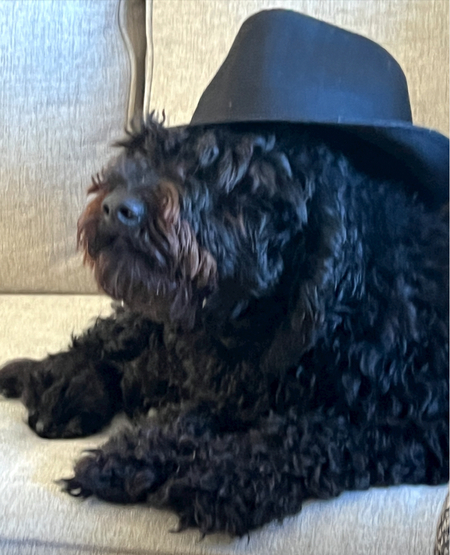 Charlie O’