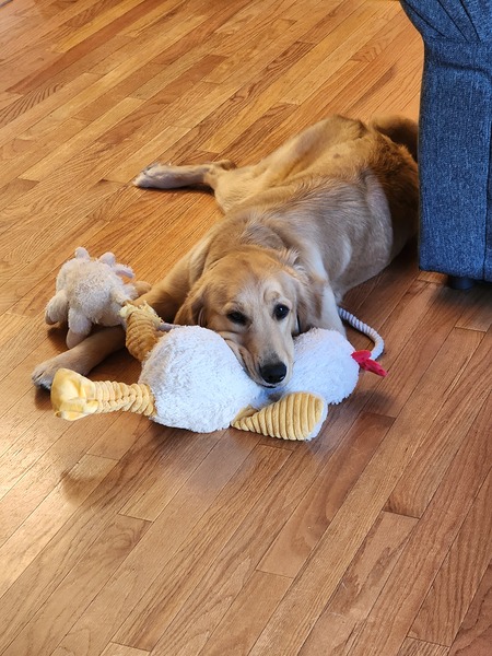 Sadie