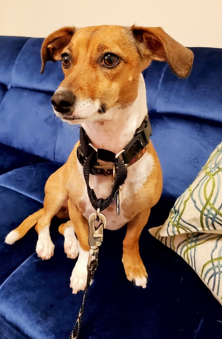 Maggie