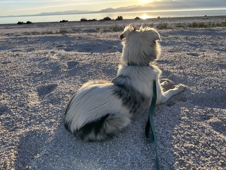 Journey