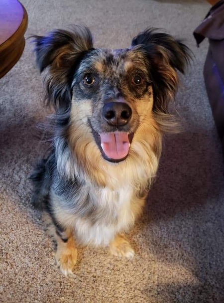 Mia