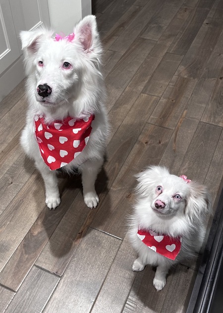 Luna and Zoey