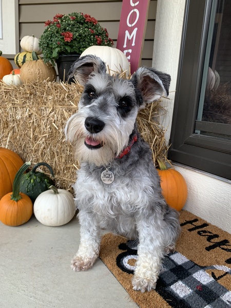 Lily Mae