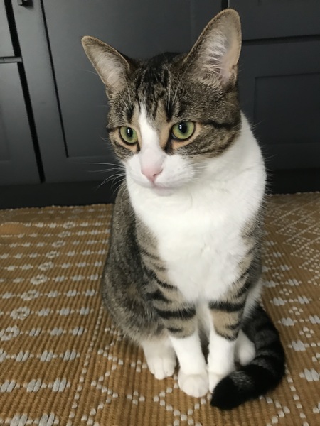 Oakley