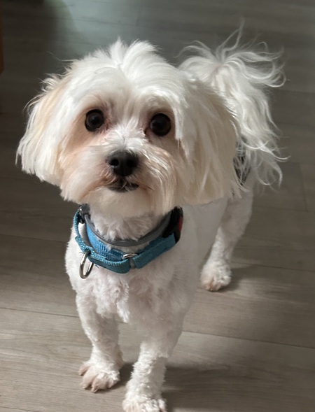 Max