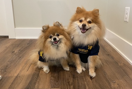 Charlie and Teddy