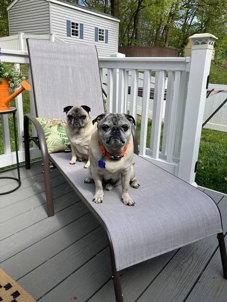 Matilda & Leon