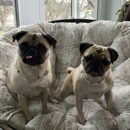 Lizzie and Jojo