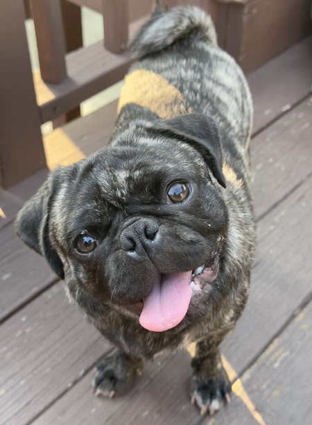 Tyson