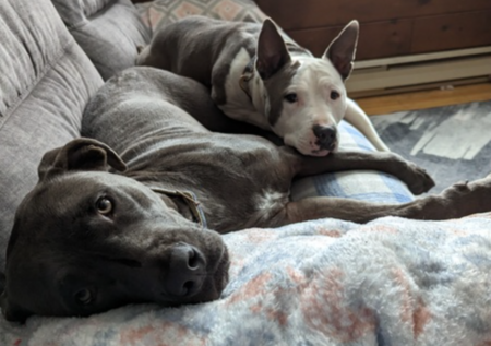 Asher and Norbert 