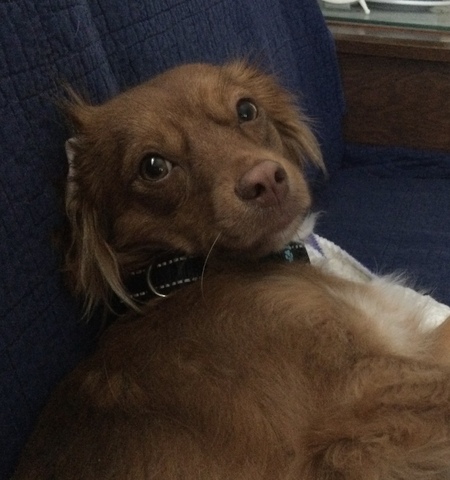Heidi
