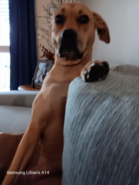 Scooby-boo FKA Jess