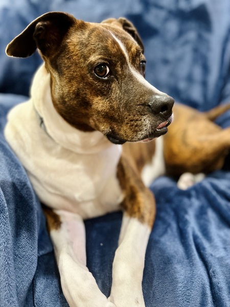 Milo