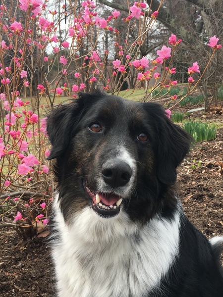 Maggie
