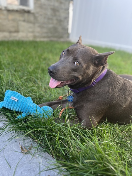 Darla