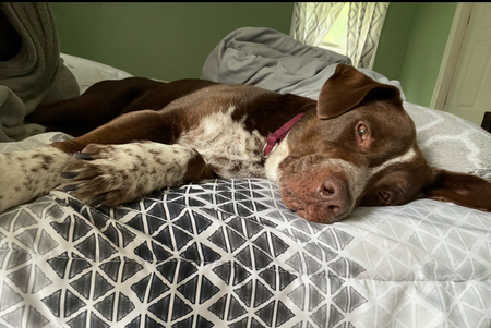 Rosie